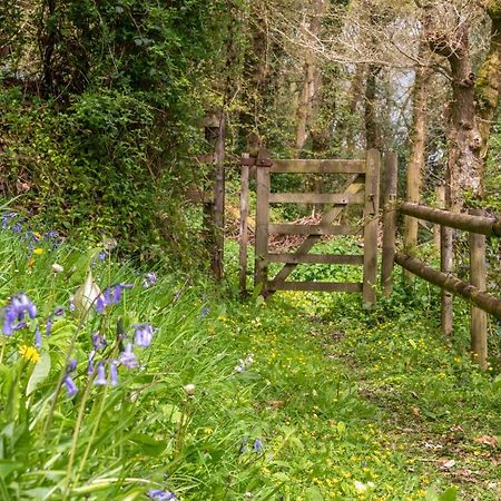 Nutsford House Panzió Dulverton Kültér fotó