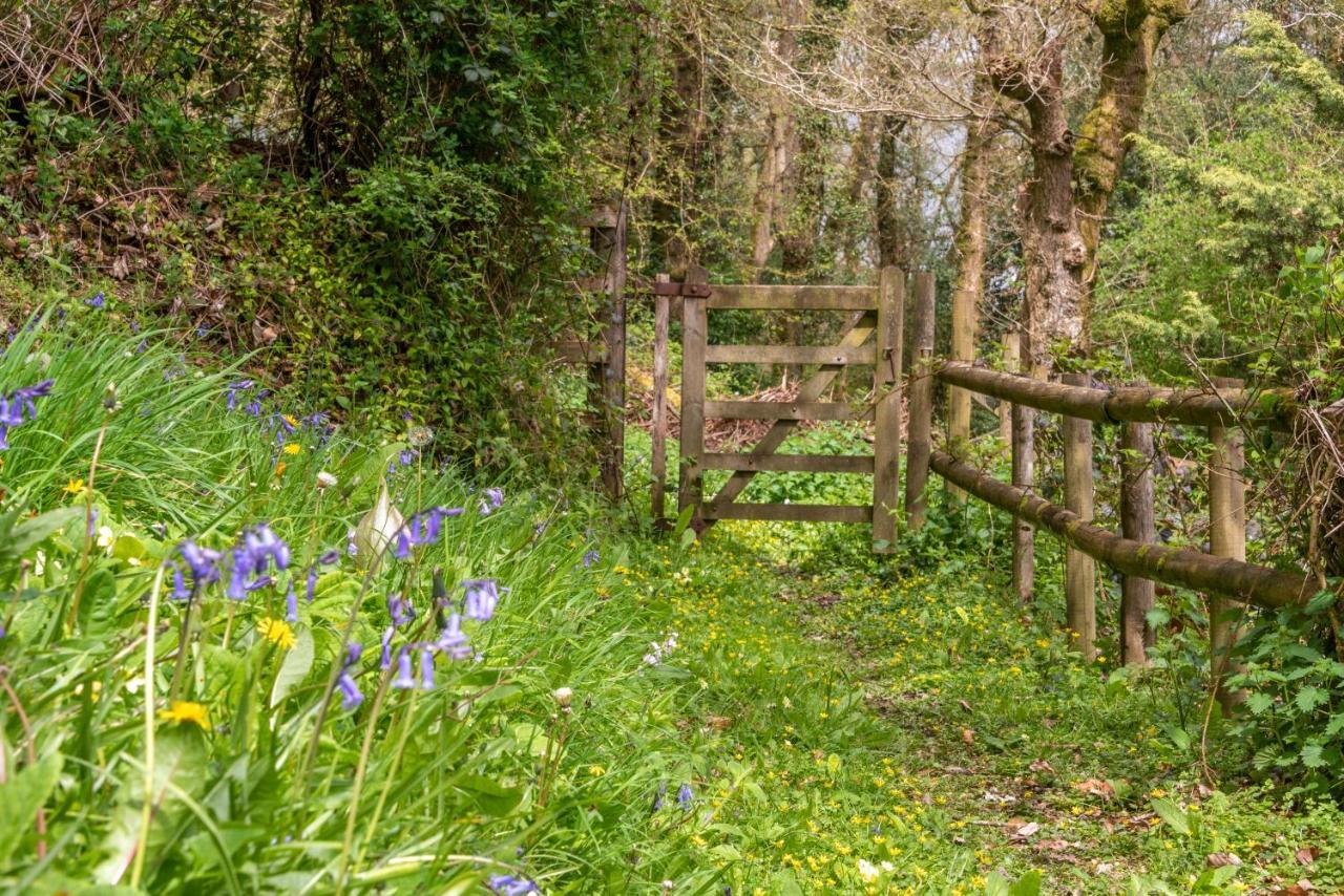 Nutsford House Panzió Dulverton Kültér fotó