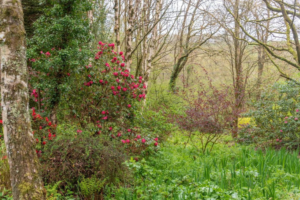 Nutsford House Panzió Dulverton Kültér fotó