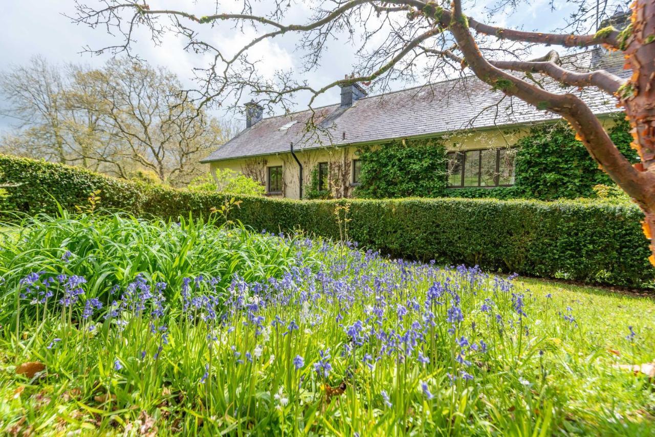 Nutsford House Panzió Dulverton Kültér fotó